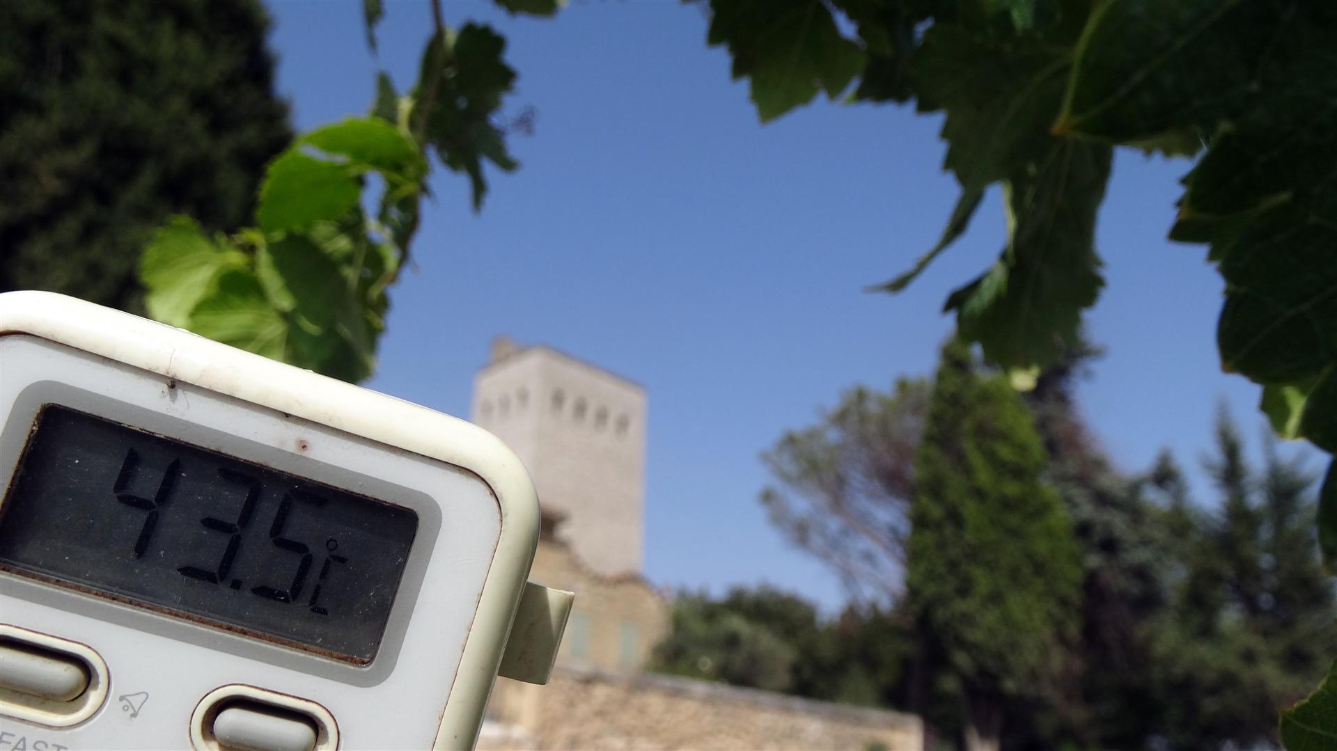 photo d'un thermomètre montrant les températures à Châteauneuf du Pape