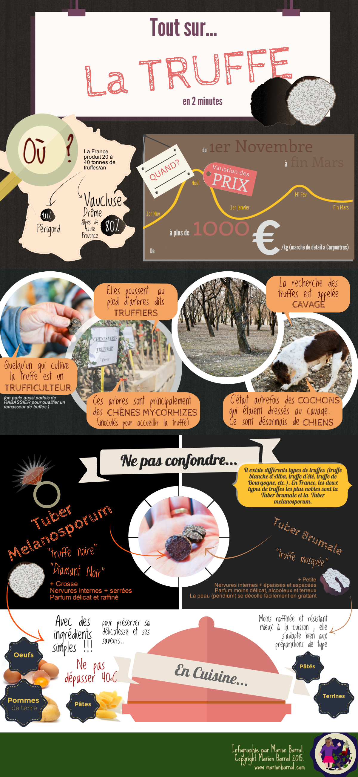 Tout sur la truffe… en 2 minutes ! Tout sur la truffe… en 2 minutes !