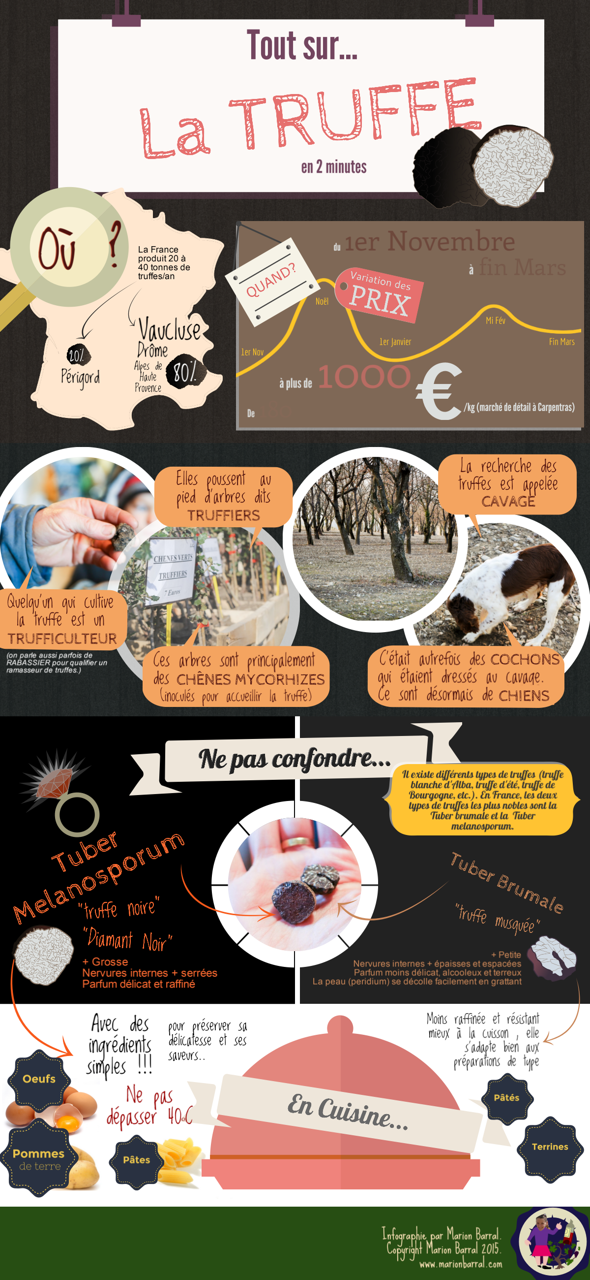 infographie sur la truffe en deux minutes