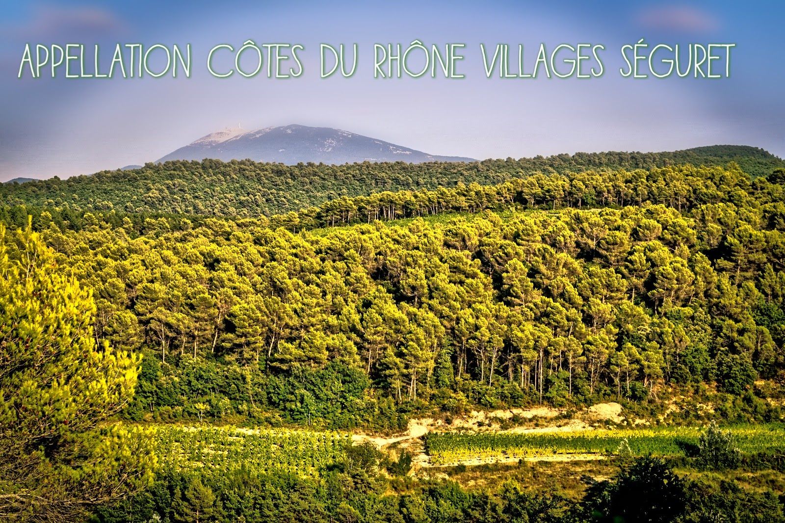 Photo de paysage de l'appellation côtes du rhône villages Séguret