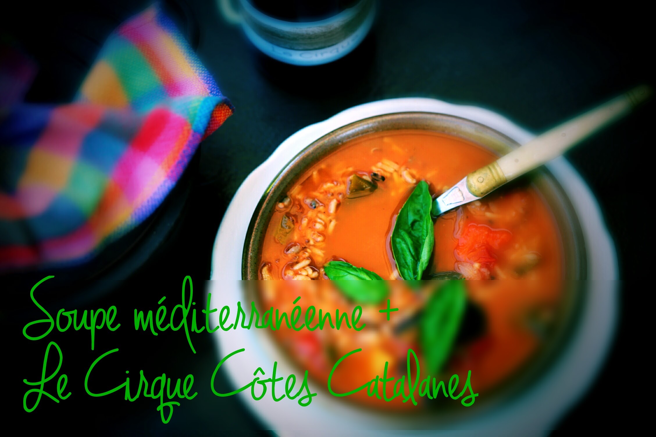 1 recette 1 vin : Soupe méditerranéenne + Le Cirque Côtes Catalanes 1 recette 1 vin : Soupe méditerranéenne + Le Cirque Côtes Catalanes