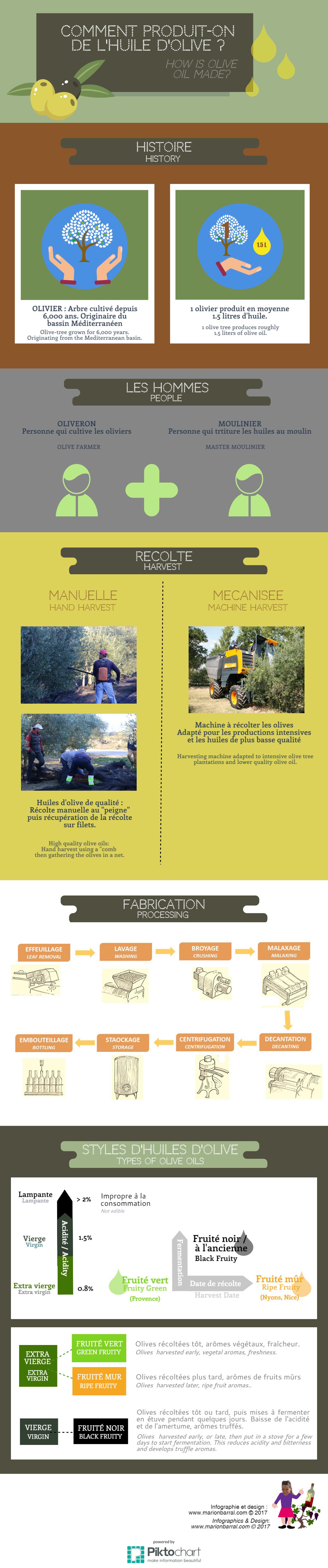 infographie fabrication huile olive making olive oil infographics