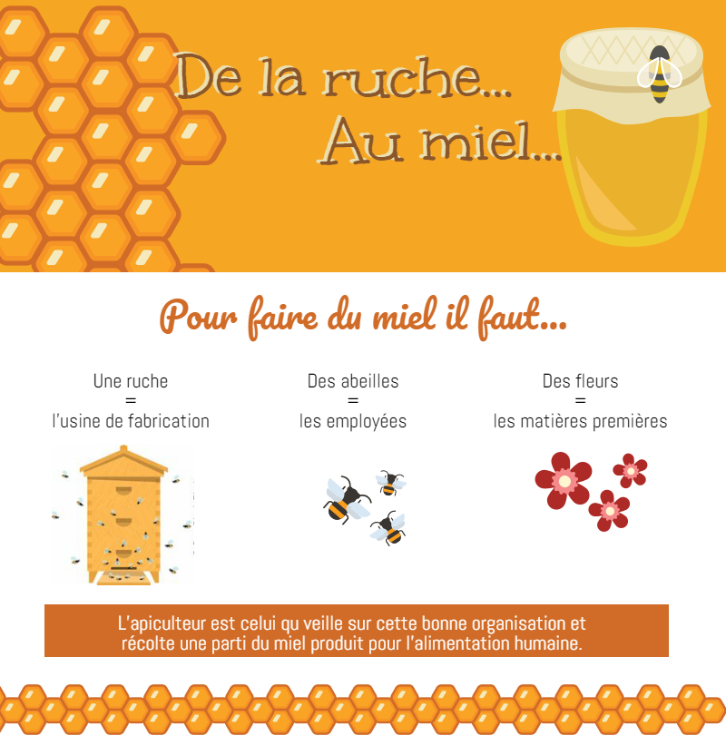 infographie miel miniature