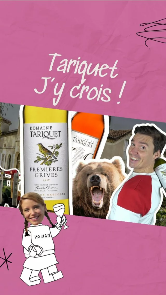 Avant que chacun ne se perde dans les bruits de couloir autour de la crise que traverse le @domaine_tariquet , je vous invite vivement à prendre 13'40'' pour regarder la vidéo que mon ami Loïc Geoffray de @vinstachegram consacre à son histoire. Sa précision documentaire et son humour unique permettent de remettre les choses en perspective.

Tout commence en 1912 lorsque Luc Dartigaux, ancien montreur d’ours ariégeois (oui oui... ce métier existe vraiment😅) , rachète une petite exploitation d’#Armagnac à Eauze. 4 générations plus tard, ses descendants — les #Grassa — ont bâti l’un des plus grands domaines viticoles de France : partis de 7 ha de vignes après la guerre, ils ont atteint 1 125 ha en 2020. L’innovation est dans leur ADN  : le "père Grassa" a découvert à UC Davis dans les années 80 la macération pelliculaire et les fermentations à basse température pour créer des vins blancs très fruités, avec des assemblages Colombard‑Ugni qui ont fait école et ont été beaucoup imités ensuite.

Depuis 4 millésimes, la mécanique bien huilée s’est grippée. Gel, grêle, mildiou et sécheresse ont lourdement affecté les rendements, élément de rentabilité fondamental pour un modèle fondé sur des vins à prix accessibles. Les volumes vendus sont passés de 8 millions de bouteilles en 2021 à 5,5 millions en 2023, le chiffre d’affaires de 33,1 M € (2016) à 25 M € (2024). Pour éviter la cessation de paiement, la famille Grassa a placé la société sous procédure de sauvegarde en janvier 2025 .
Concrètement, 115 ha ont été arrachés, les investissements gelés, aucune suppression de poste n’a cependant été annoncée et une nouvelle gamme de blancs légers et d’effervescents est en préparation.

Mes raisons d’y croire ?
– Une capacité historique à se réinventer : #Tariquet a déjà transformé un vignoble d’Armagnac en locomotive des Côtes de Gascogne.
 – Un rôle systémique. La moitié des bouteilles de Côtes de Gascogne consommées en France portent son étiquette ; toute la filière régionale a intérêt à son redressement.
 – Une demande toujours présente. Fraîcheur, fruit, modération alcoolique 

#vinsdegascogne #criseviticole #vinsdusudouest #tariquet #vinstache