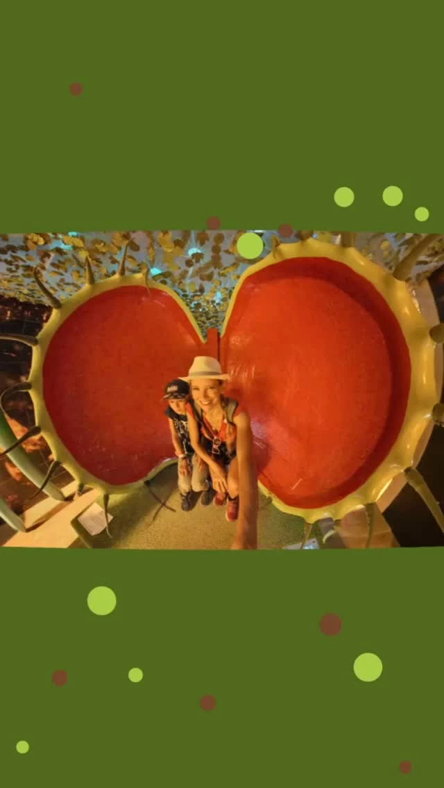 🐜✨ Retour à Micropolis… 20 ans après !

Il y a près de vingt ans, Micropolis était pour moi LA référence en parc ludo-pédagogique. J’y suis revenue aujourd’hui avec mon fils… et quelle belle surprise : la magie opère toujours !
Animations toujours aussi bien pensées, vivariums pris d’assaut par les curieux, et ce “Carnaval des insectes” poétique et créatif qui n’a pas pris une ride (ou presque, juste quelques sculptures à rafraîchir).

Voir mon fils s’émerveiller devant les prouesses des petits insectes m’a rappelé mes propres émerveillements d’il y a deux décennies… 🐞🦋
Comme quoi, certaines visites restent intemporelles ❤️

#Micropolis #ParcLudoPédagogique #Insectes #SortieEnFamille #Aveyron #VoyageDansLeTemps
@micropolis_cite_des_insectes